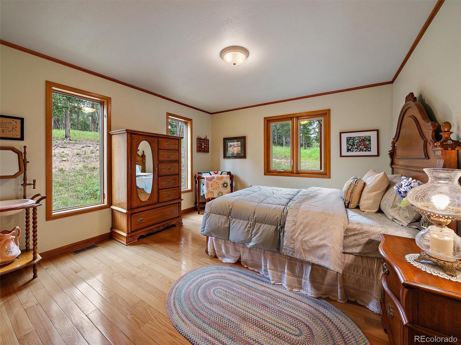 13094 Molly Drive Conifer CO 80433