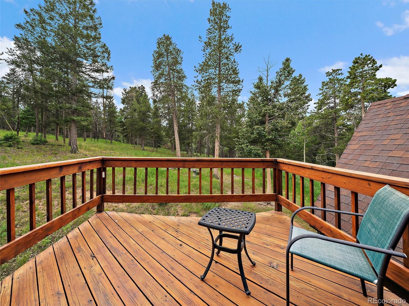 13094 Molly Drive Conifer CO 80433