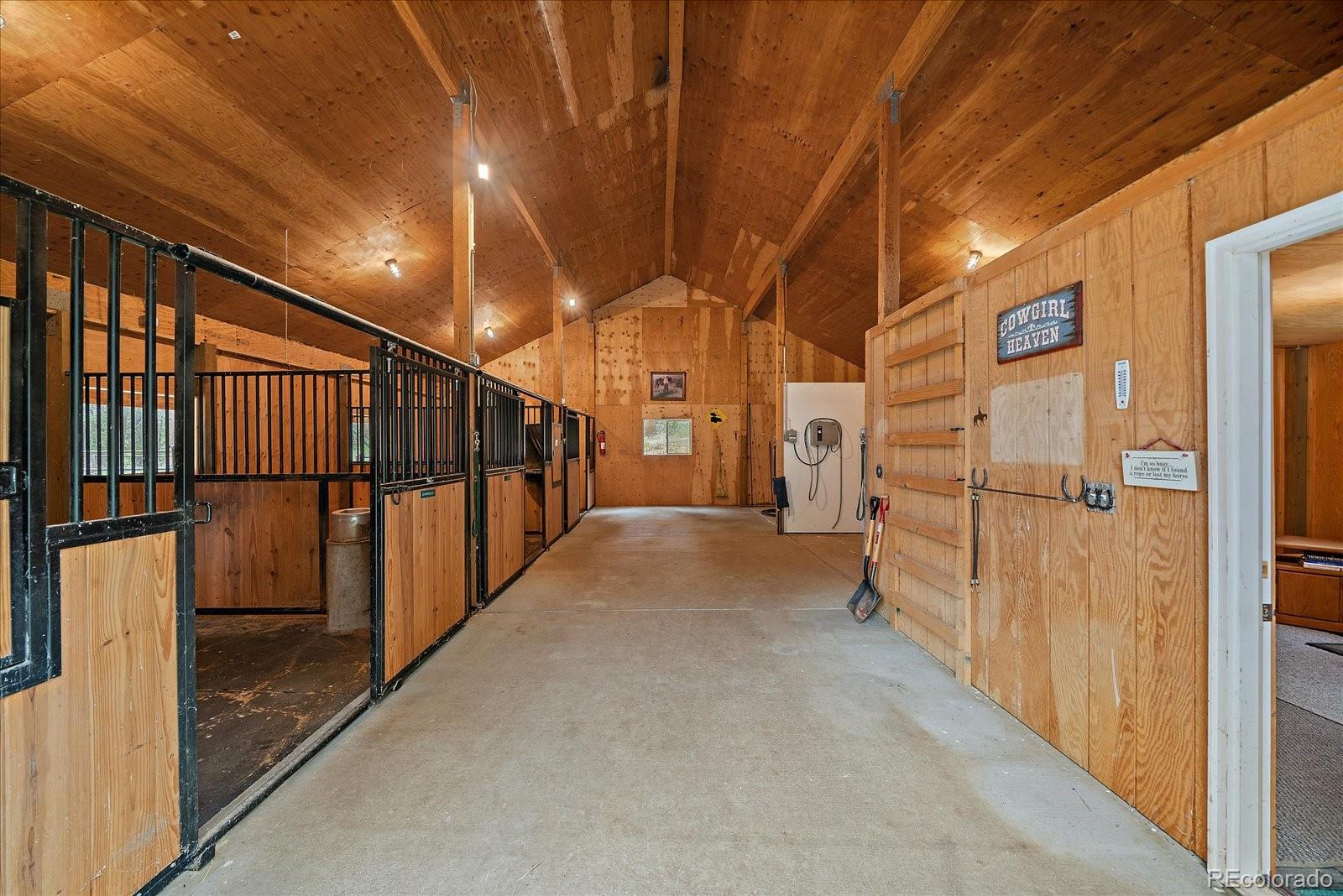 13094 Molly Drive Conifer CO 80433