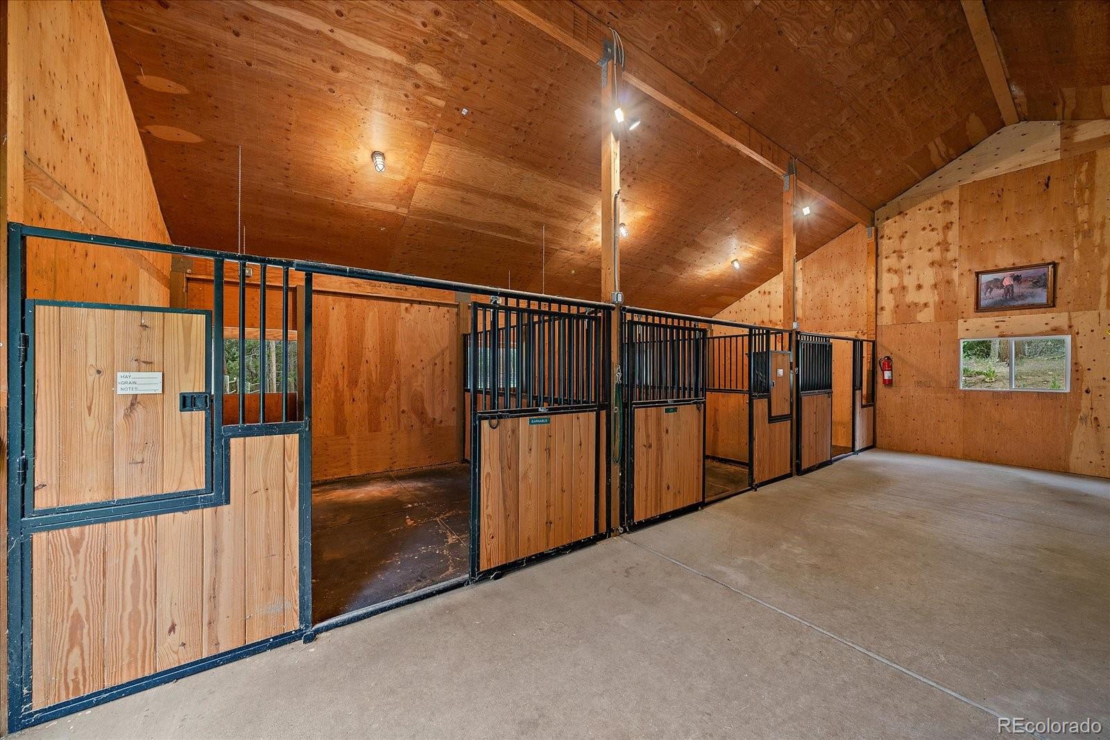 13094 Molly Drive Conifer CO 80433