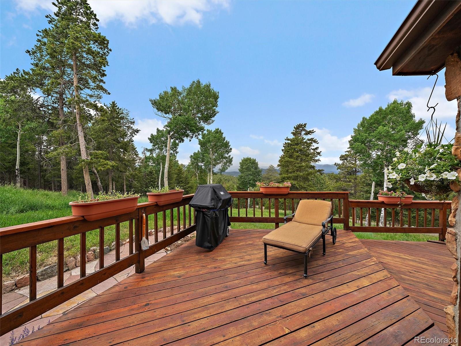 13094 Molly Drive Conifer CO 80433