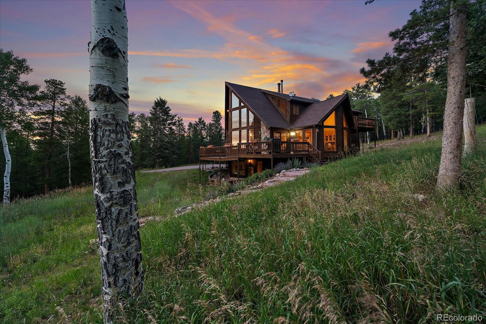 13094 Molly Drive Conifer CO 80433