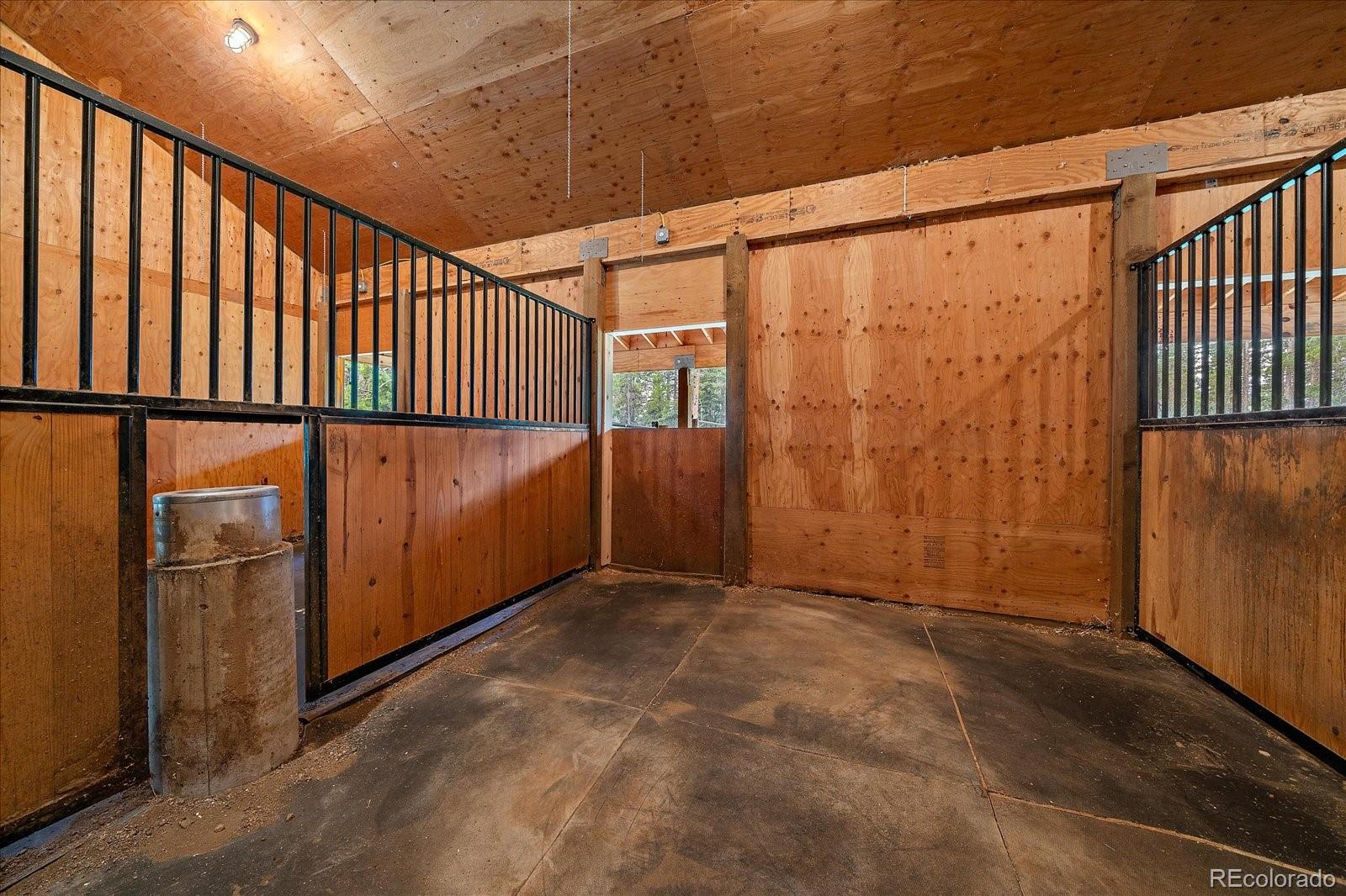 13094 Molly Drive Conifer CO 80433