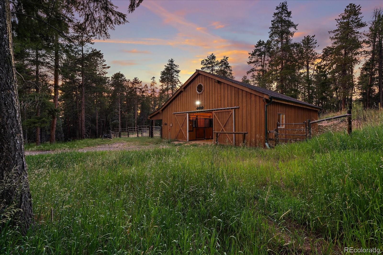 13094 Molly Drive Conifer CO 80433