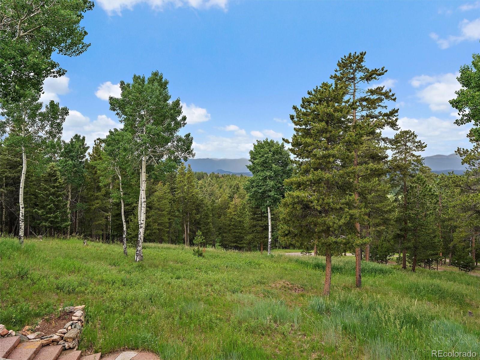 13094 Molly Drive Conifer CO 80433