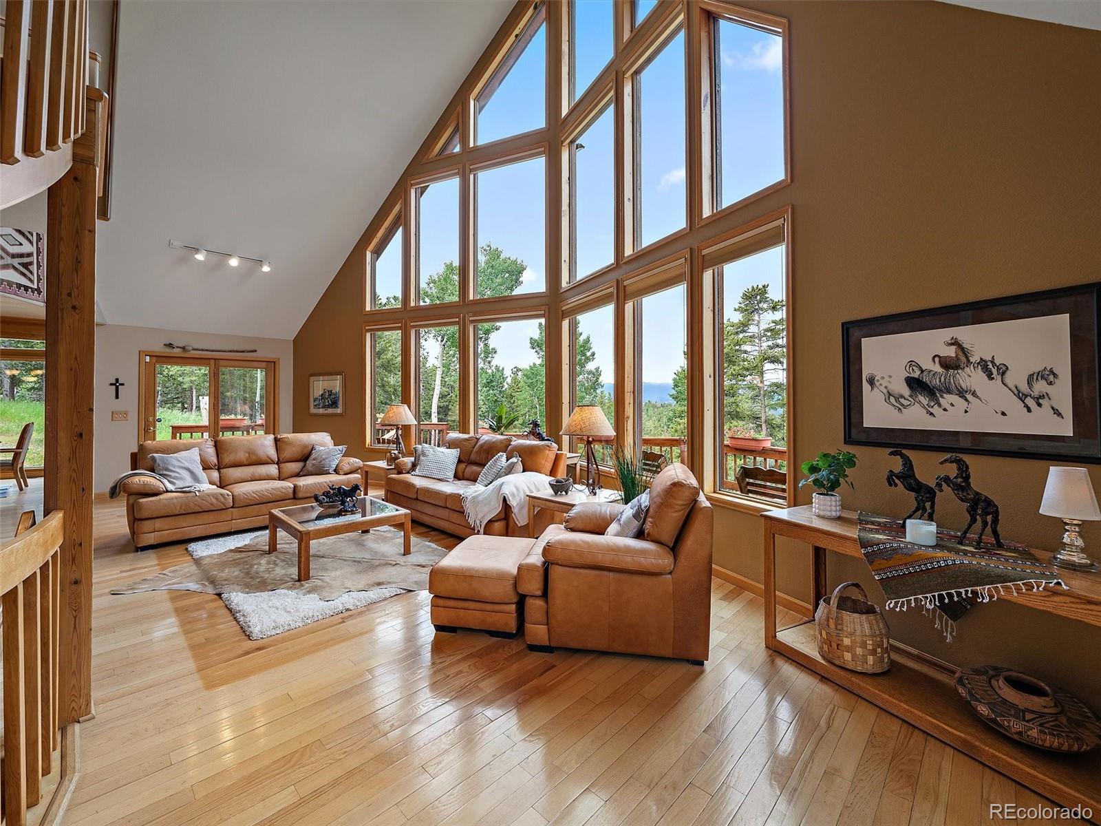 13094 Molly Drive Conifer CO 80433