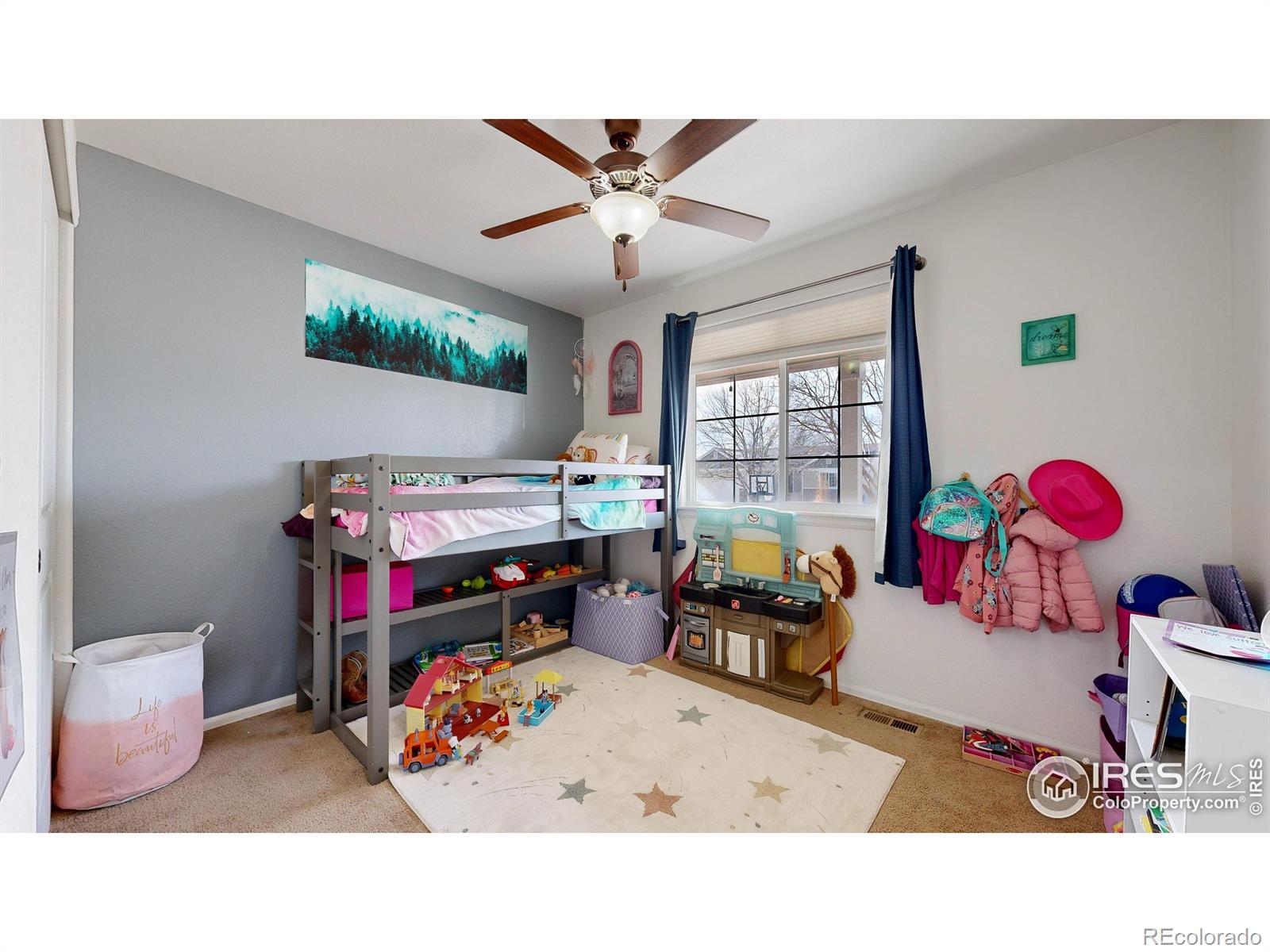 7078 Loudon Street Wellington CO 80549