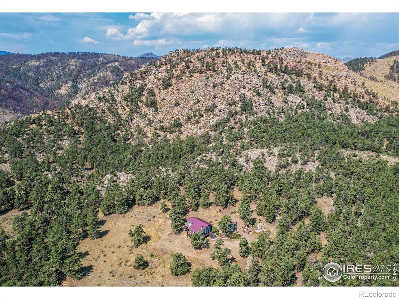 10297 Forest View Drive Loveland CO 80538