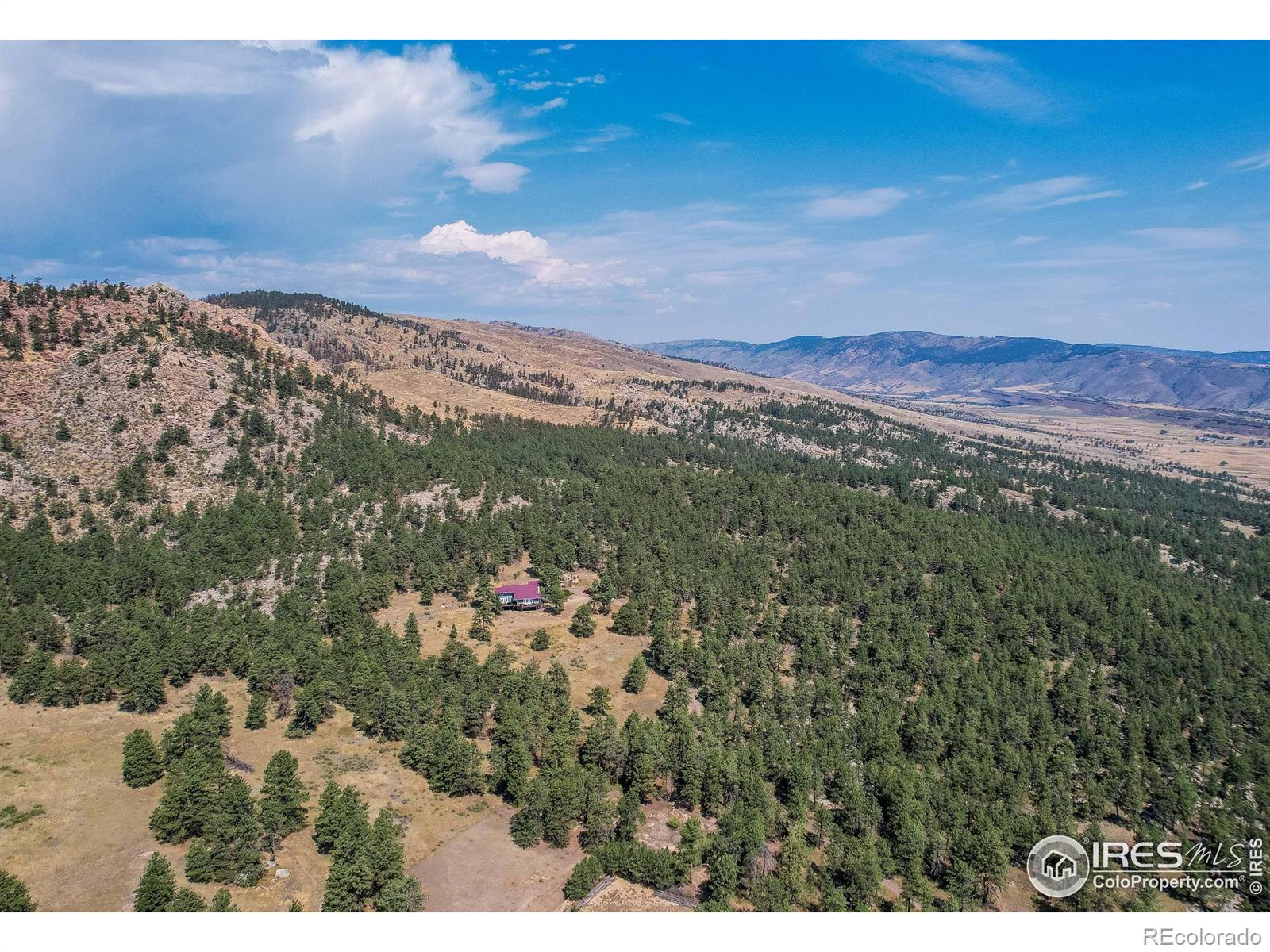 10297 Forest View Drive Loveland CO 80538
