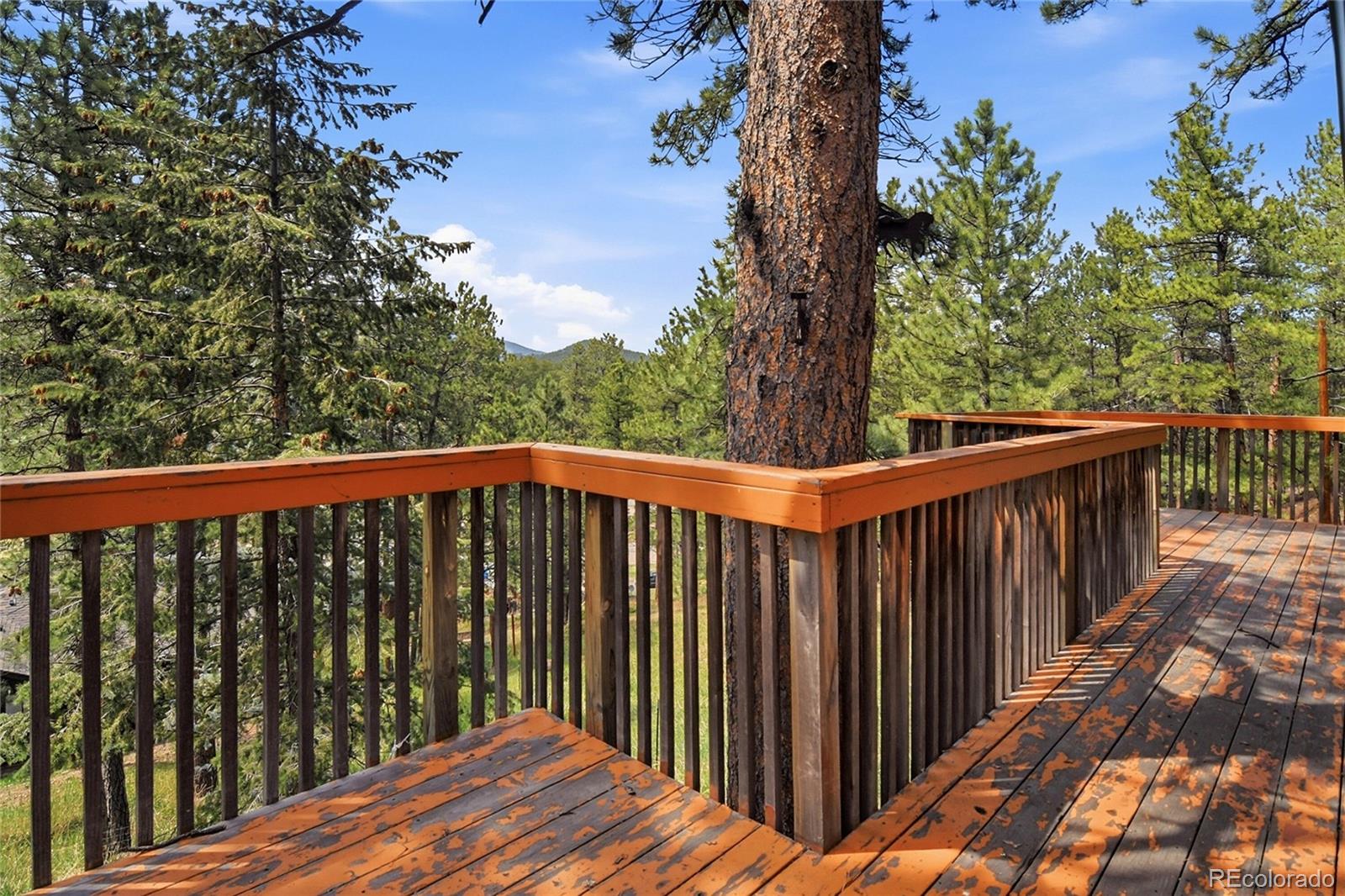 5091 S Olive Road Evergreen CO 80439