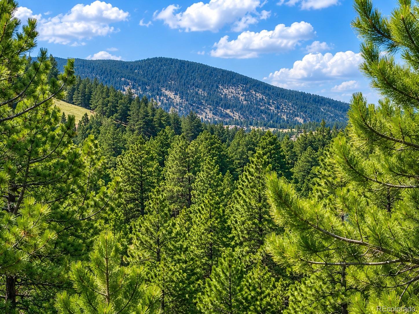 5091 S Olive Road Evergreen CO 80439