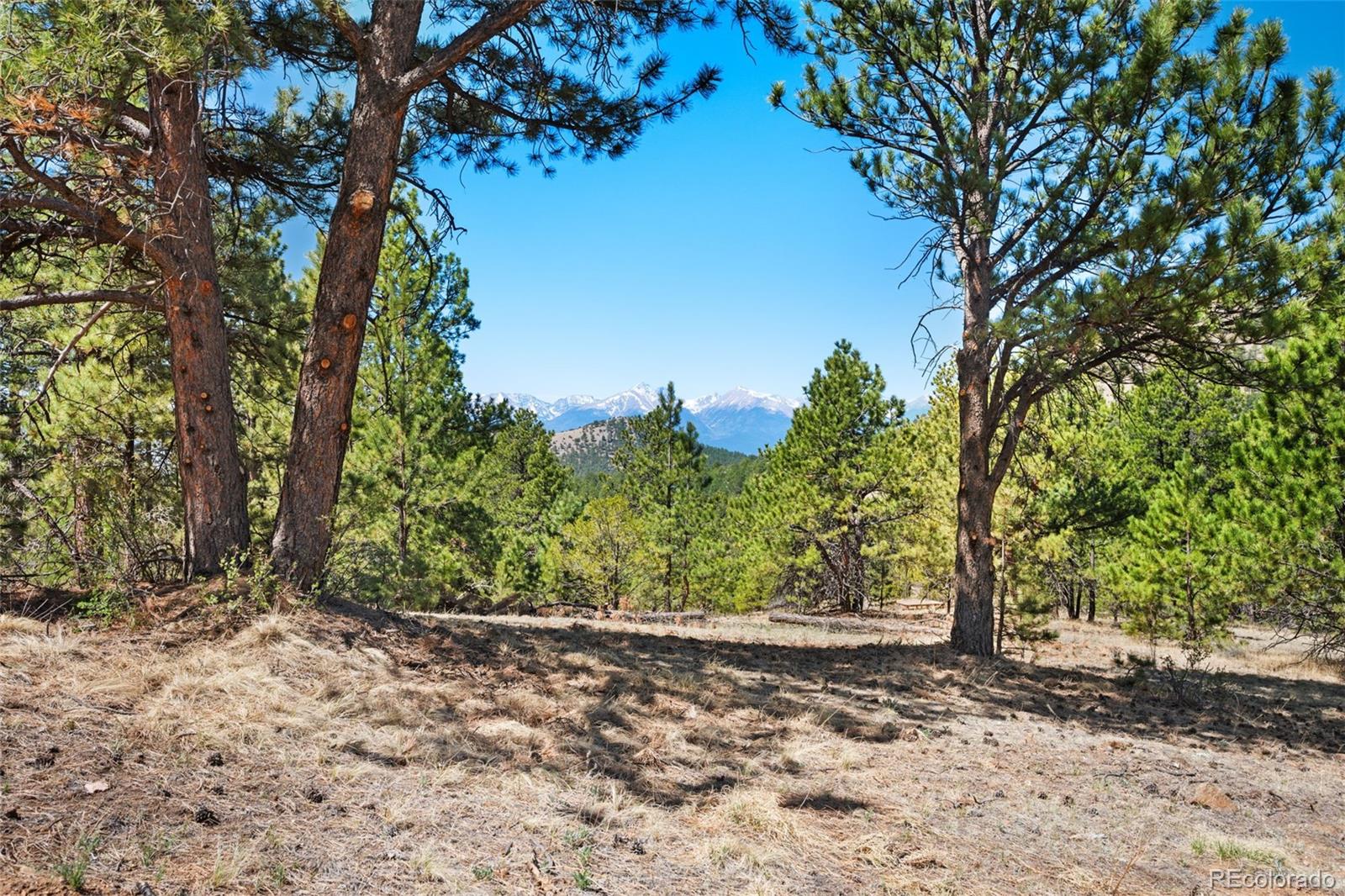 1341 County Road 327 Westcliffe CO 81252