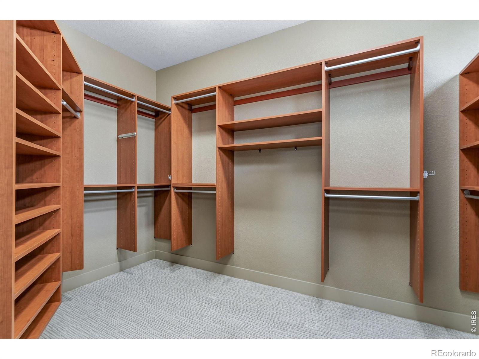 1109 Honholtz Drive Fort Collins CO 80525