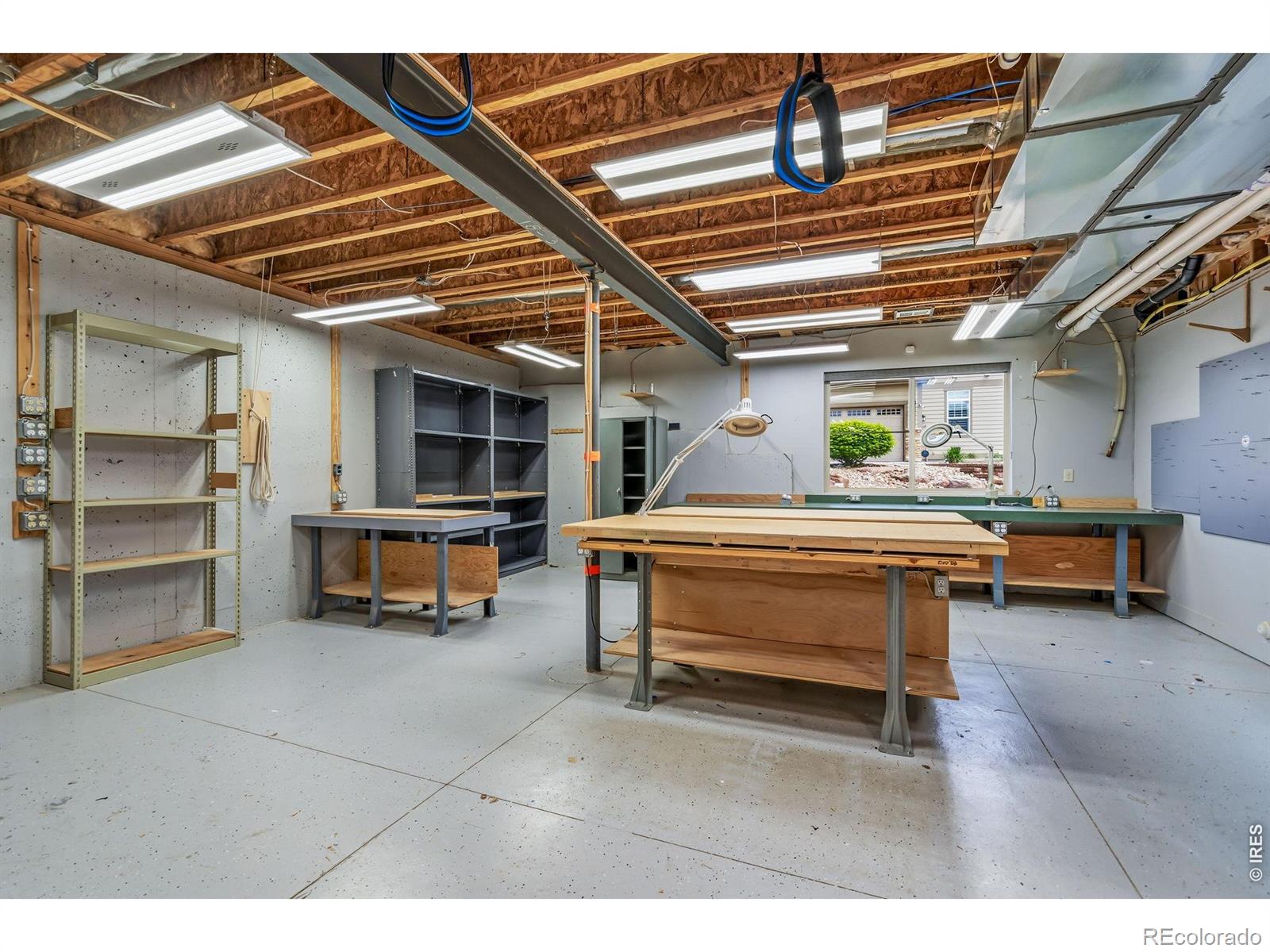 1109 Honholtz Drive Fort Collins CO 80525