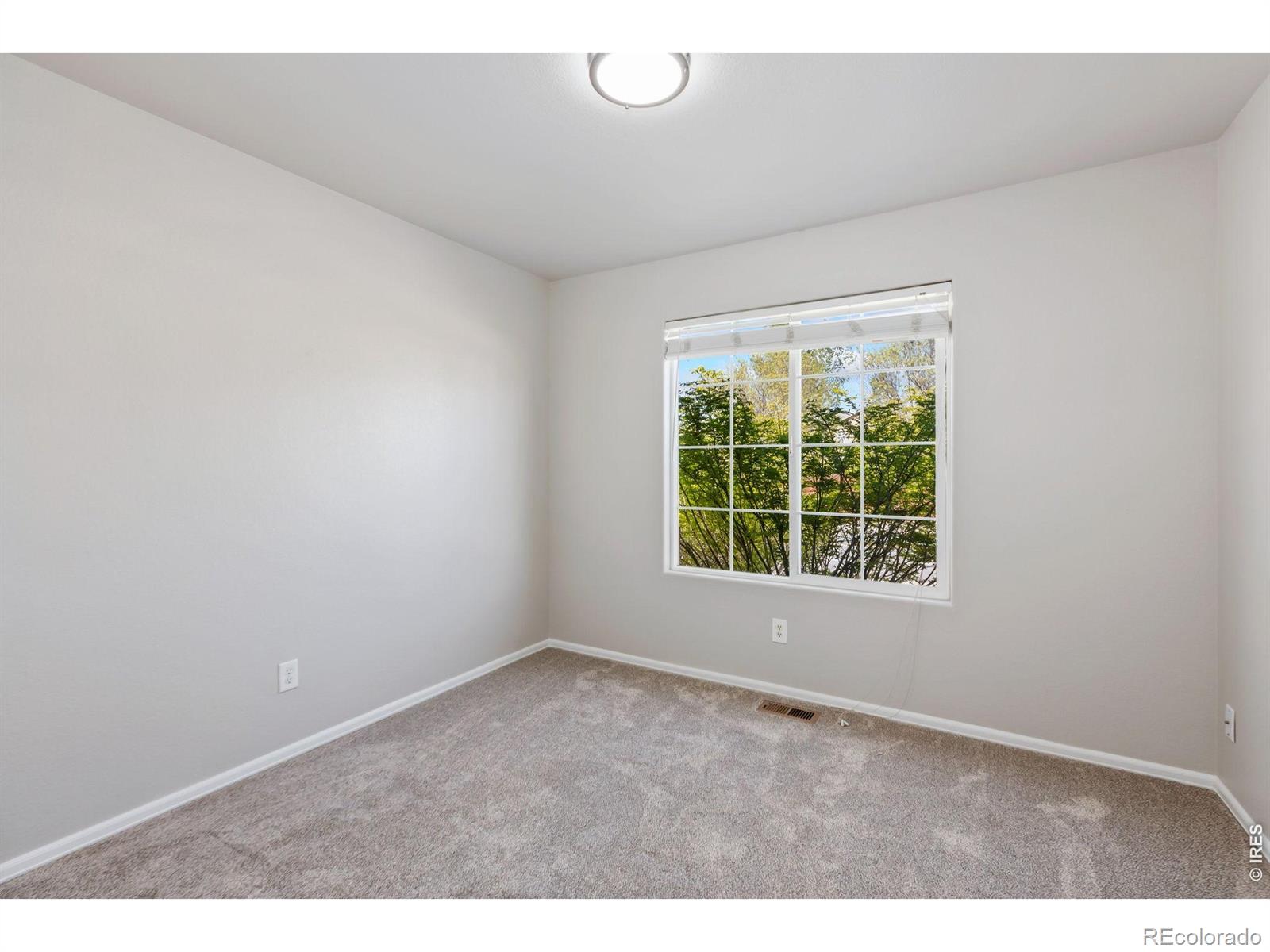 4504 W 31st Street Greeley CO 80634