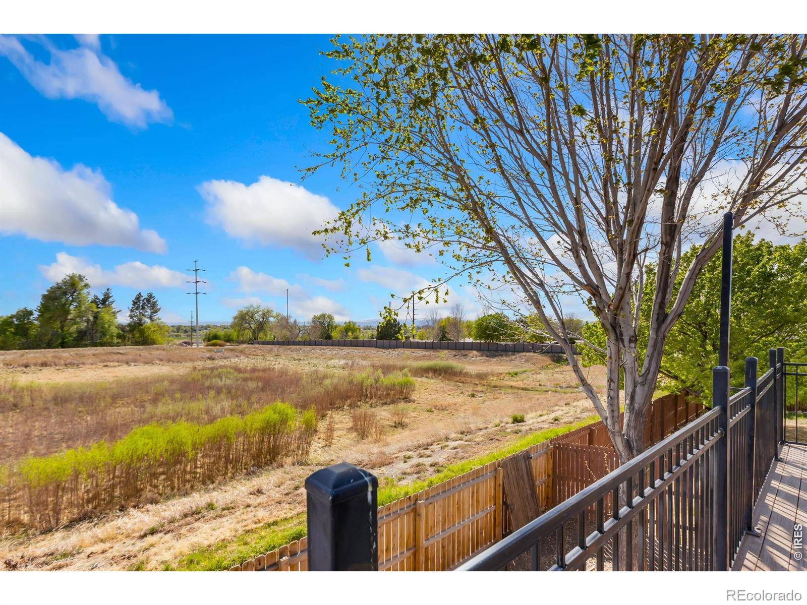 4504 W 31st Street Greeley CO 80634