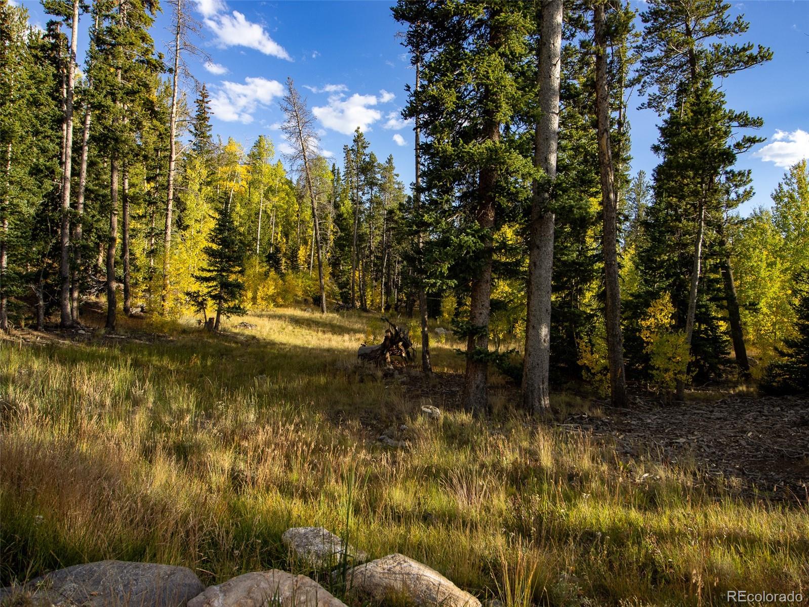 228 Glacier Ridge Road Alma CO 80420