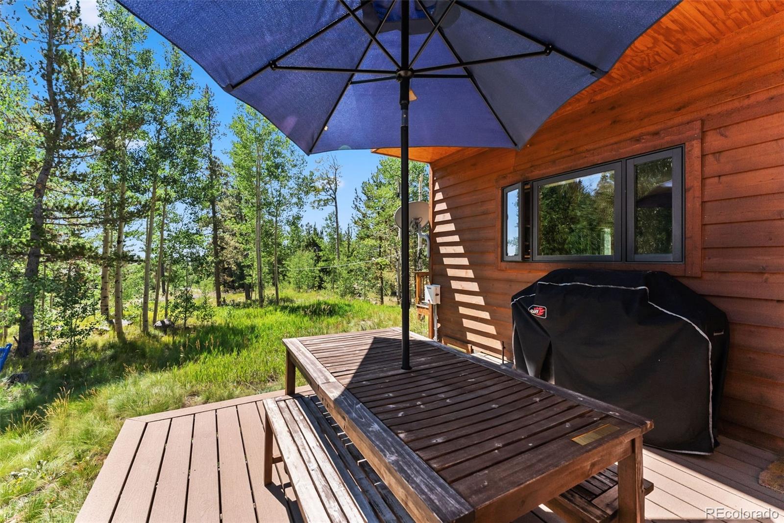 228 Glacier Ridge Road Alma CO 80420