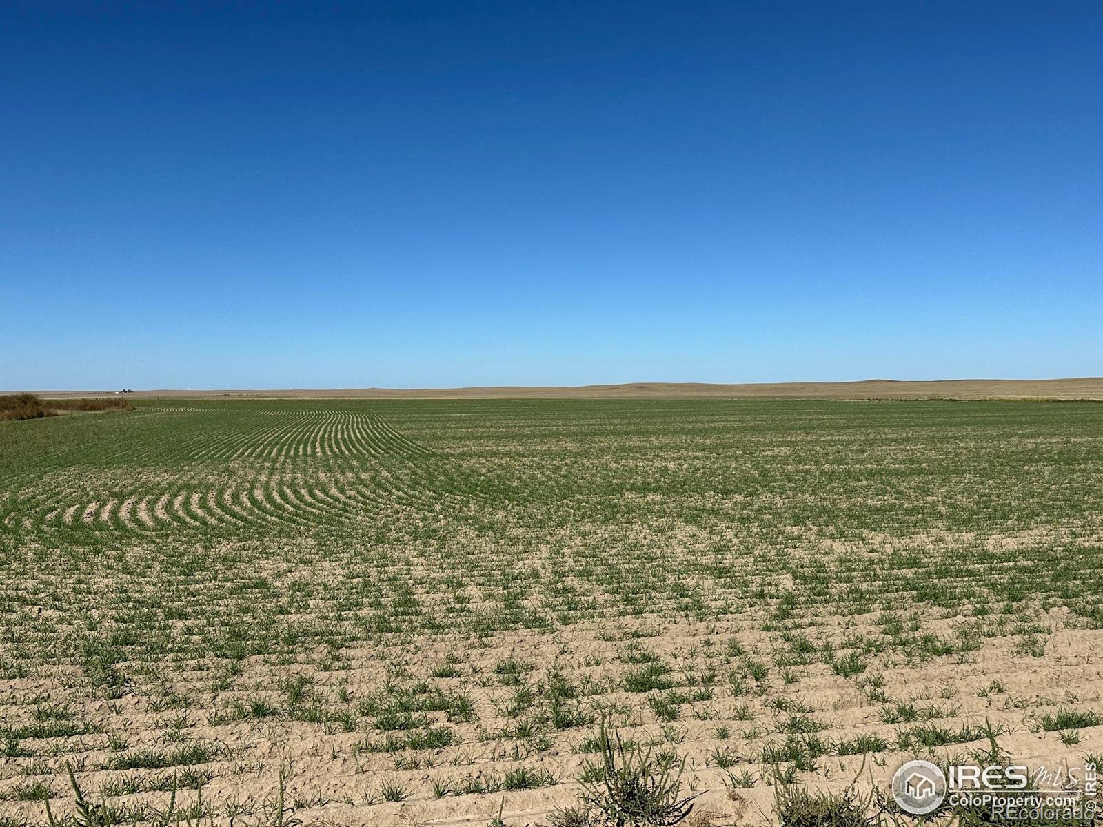 18807 County Road P Road Kit Carson CO 80825