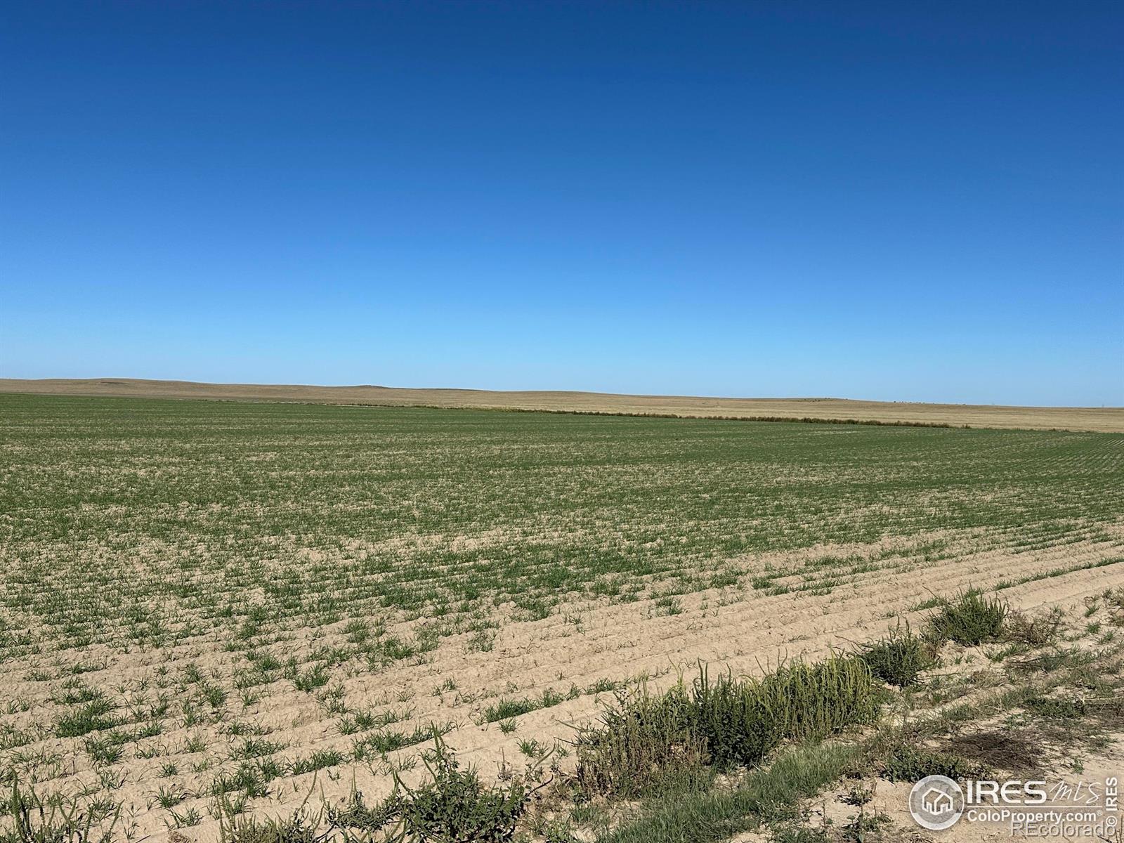 18807 County Road P Road Kit Carson CO 80825