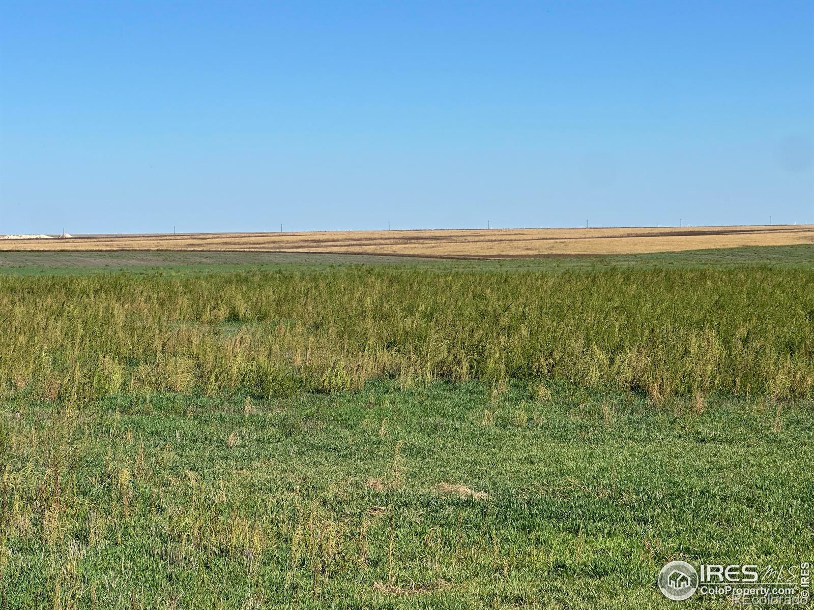 18807 County Road P Road Kit Carson CO 80825