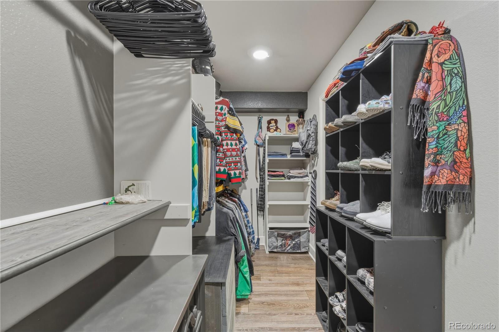 228 Castro Place Erie CO 80516