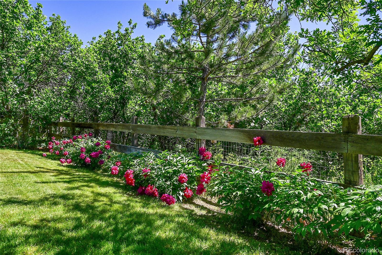 7808 Glen Ridge Drive Castle Pines CO 80108