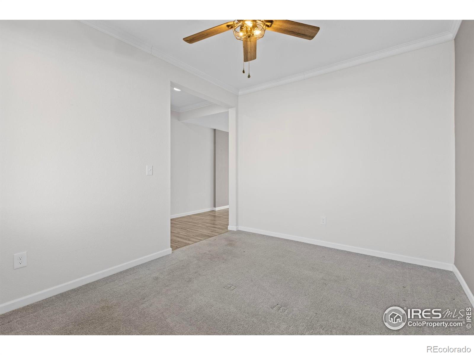 1603 Foggy Brook Drive Fort Collins CO 80528