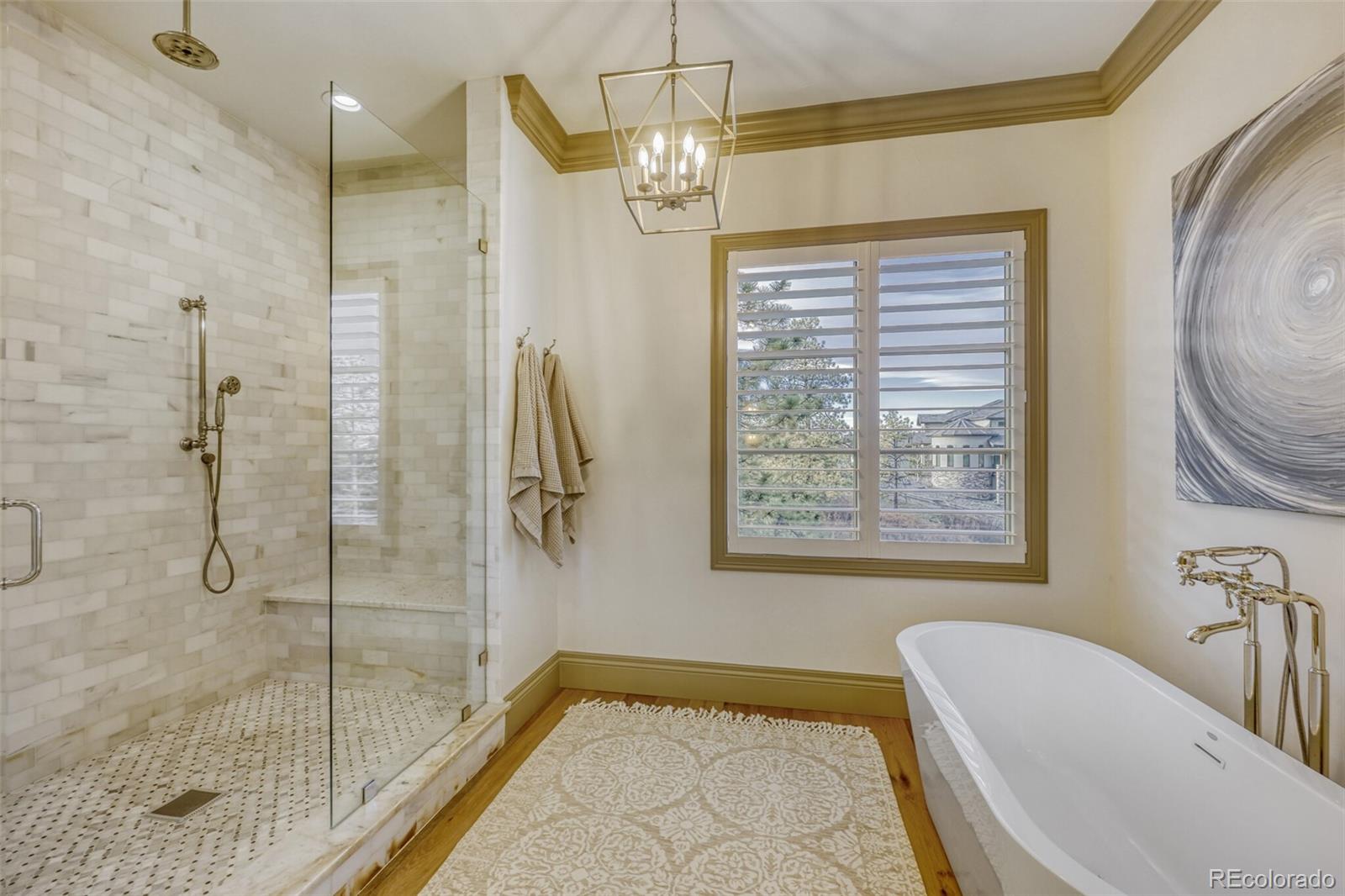 2163 Sierra Verde Court Castle Rock CO 80104