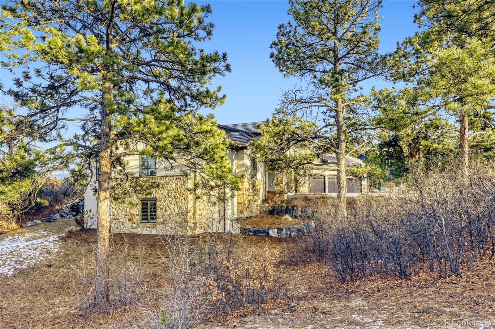 2163 Sierra Verde Court Castle Rock CO 80104