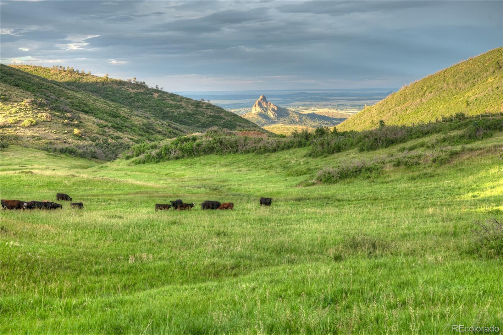850 Rilling Canyon Road La Veta CO 81055