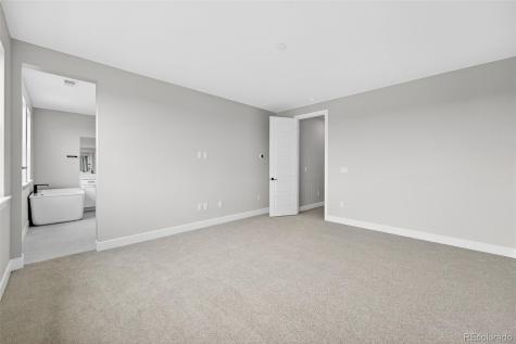 5674 Farrier Point Castle Rock CO 80104