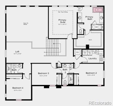 5674 Farrier Point Castle Rock CO 80104