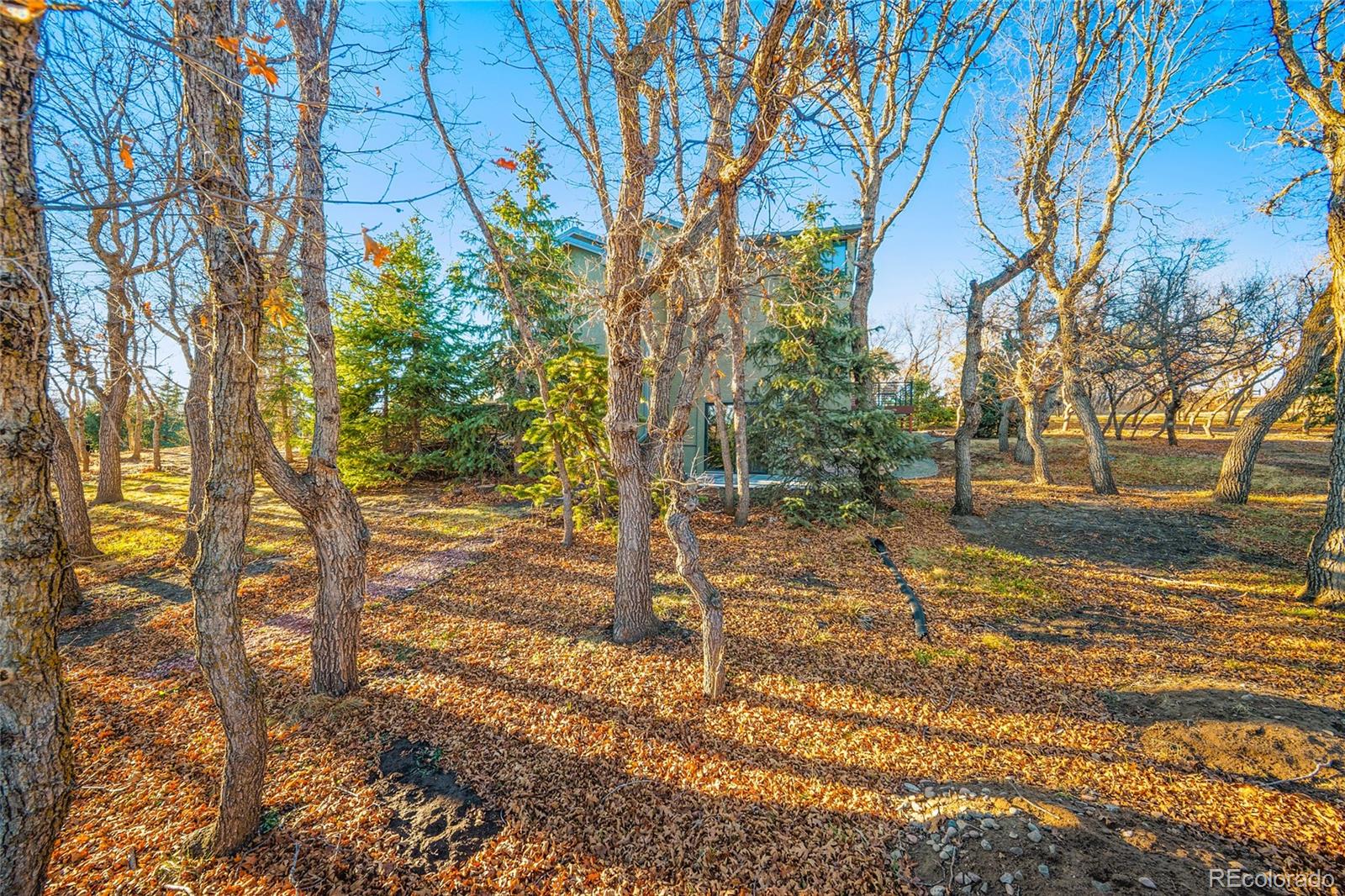 250 Wuthering Heights Drive Colorado Springs CO 80921