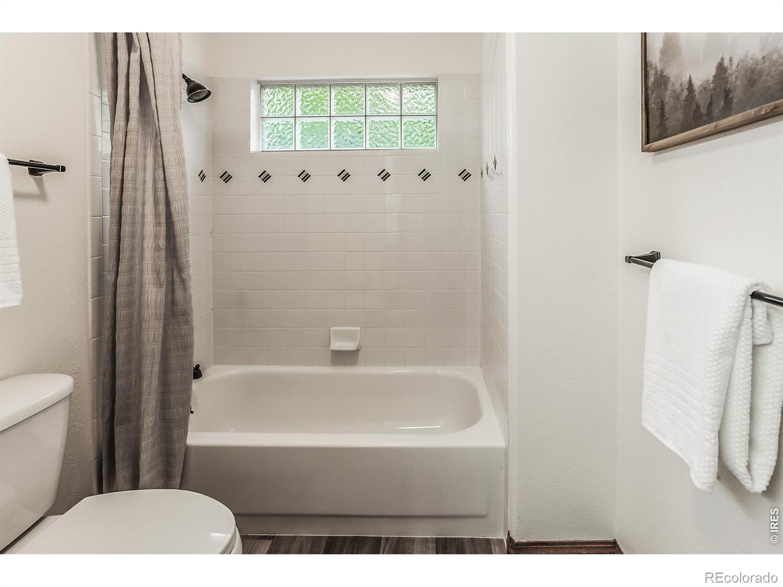 2619 Jewelstone Court Fort Collins CO 80525