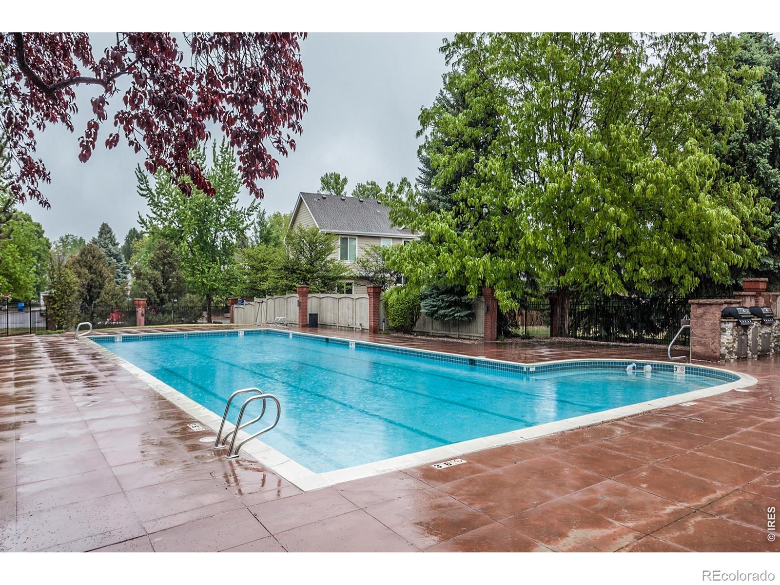 2619 Jewelstone Court Fort Collins CO 80525