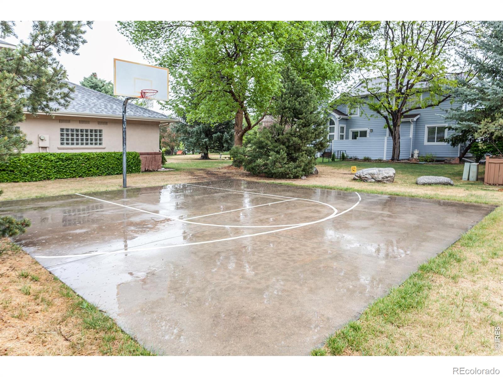 2619 Jewelstone Court Fort Collins CO 80525