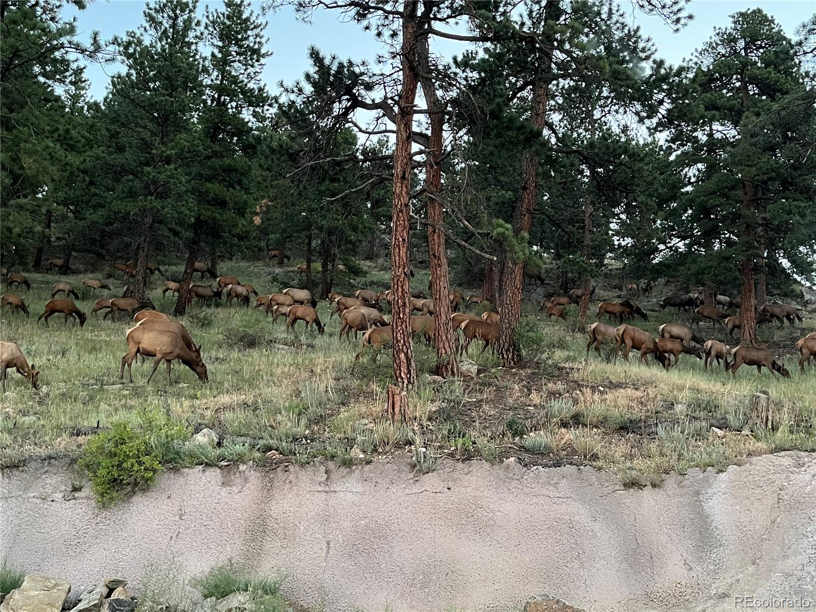 766 Dreamcatcher Lane Evergreen CO 80439