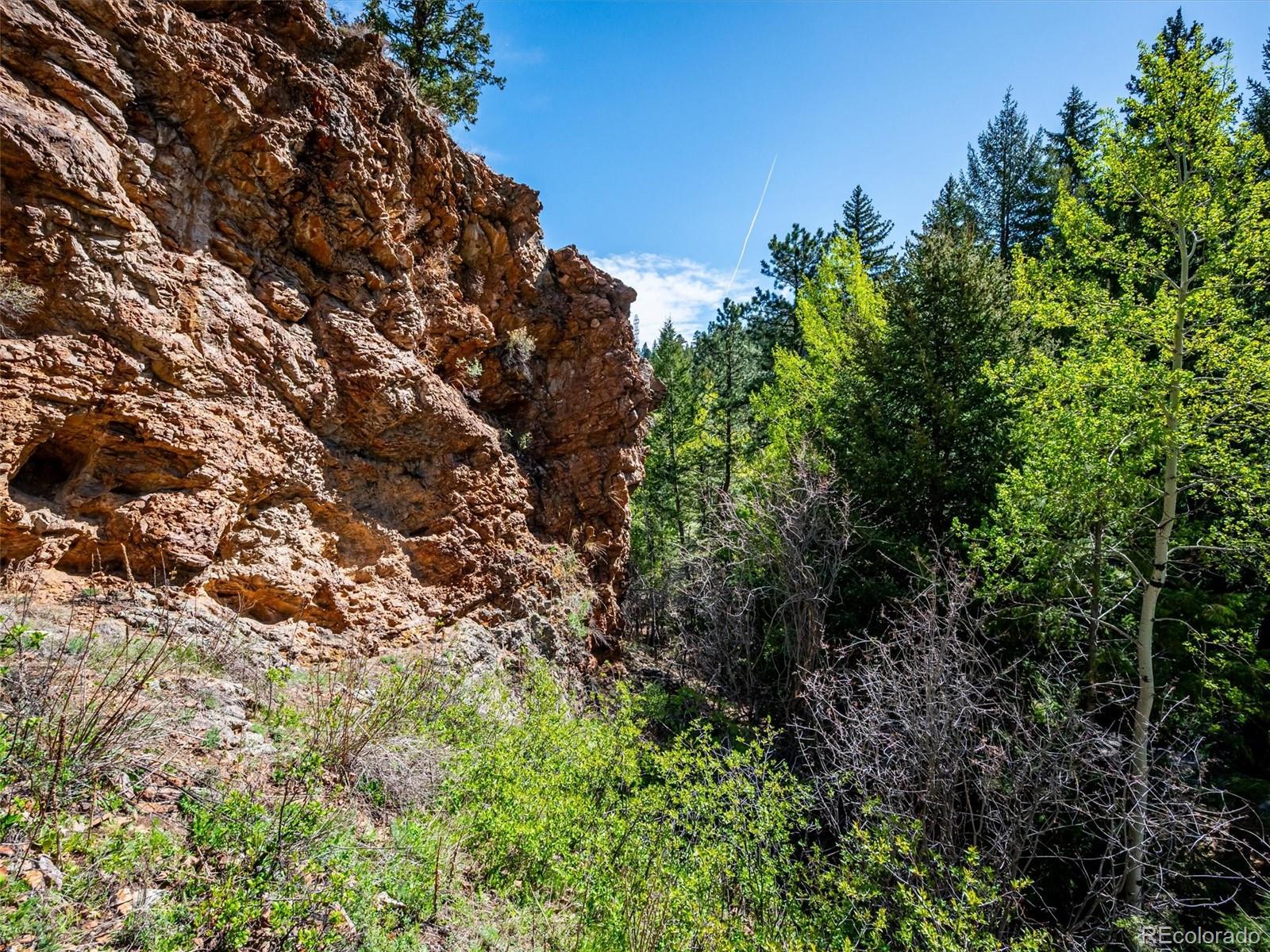 164 Fawn Creek Lane Evergreen CO 80439