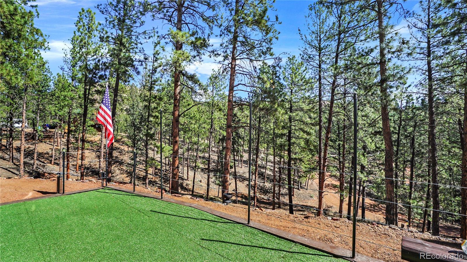 16536 Ouray Road W Pine CO 80470