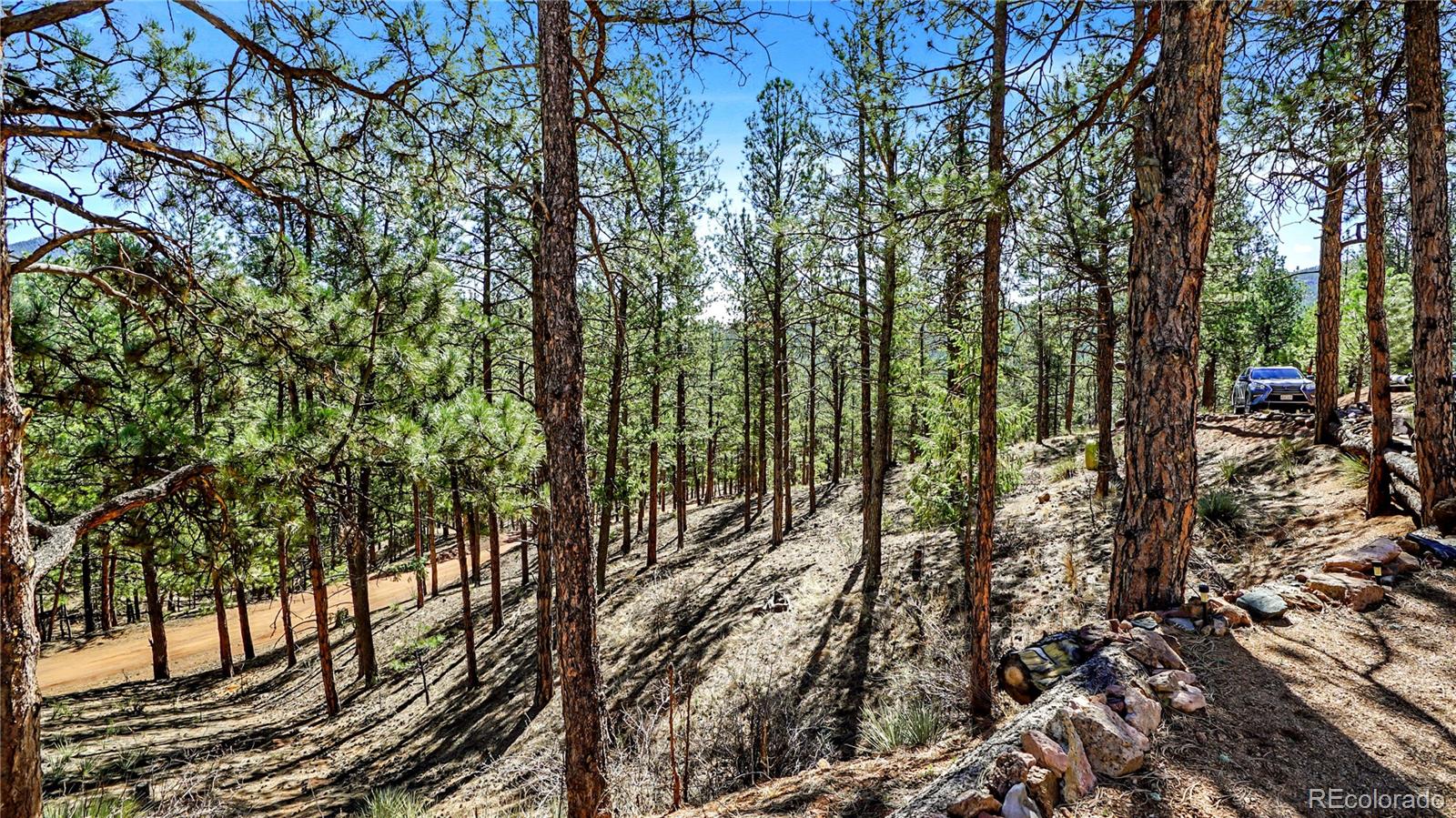 16536 Ouray Road W Pine CO 80470