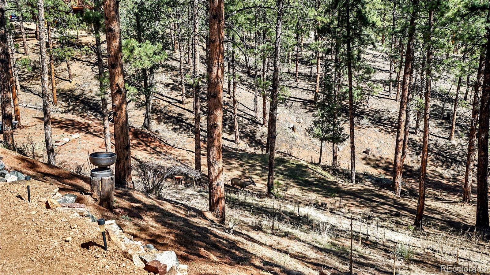 16536 Ouray Road W Pine CO 80470