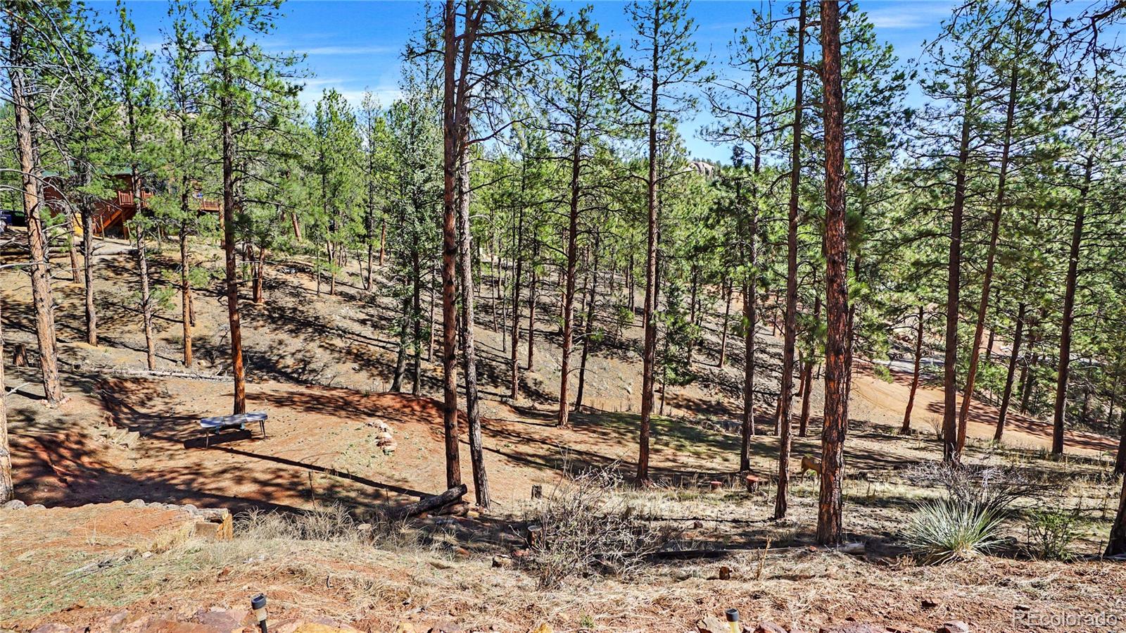 16536 Ouray Road W Pine CO 80470