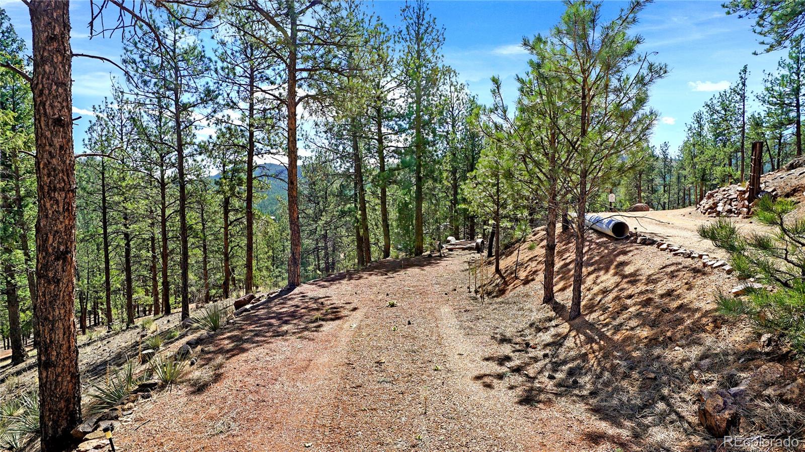 16536 Ouray Road W Pine CO 80470