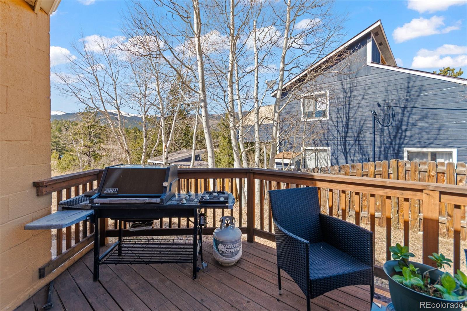 211 Appleby Street Bailey CO 80421