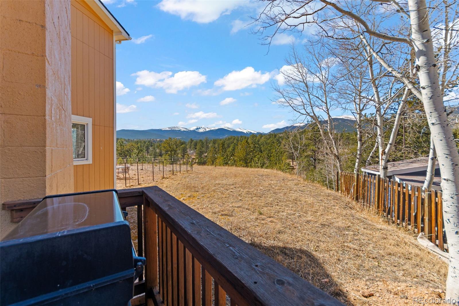 211 Appleby Street Bailey CO 80421