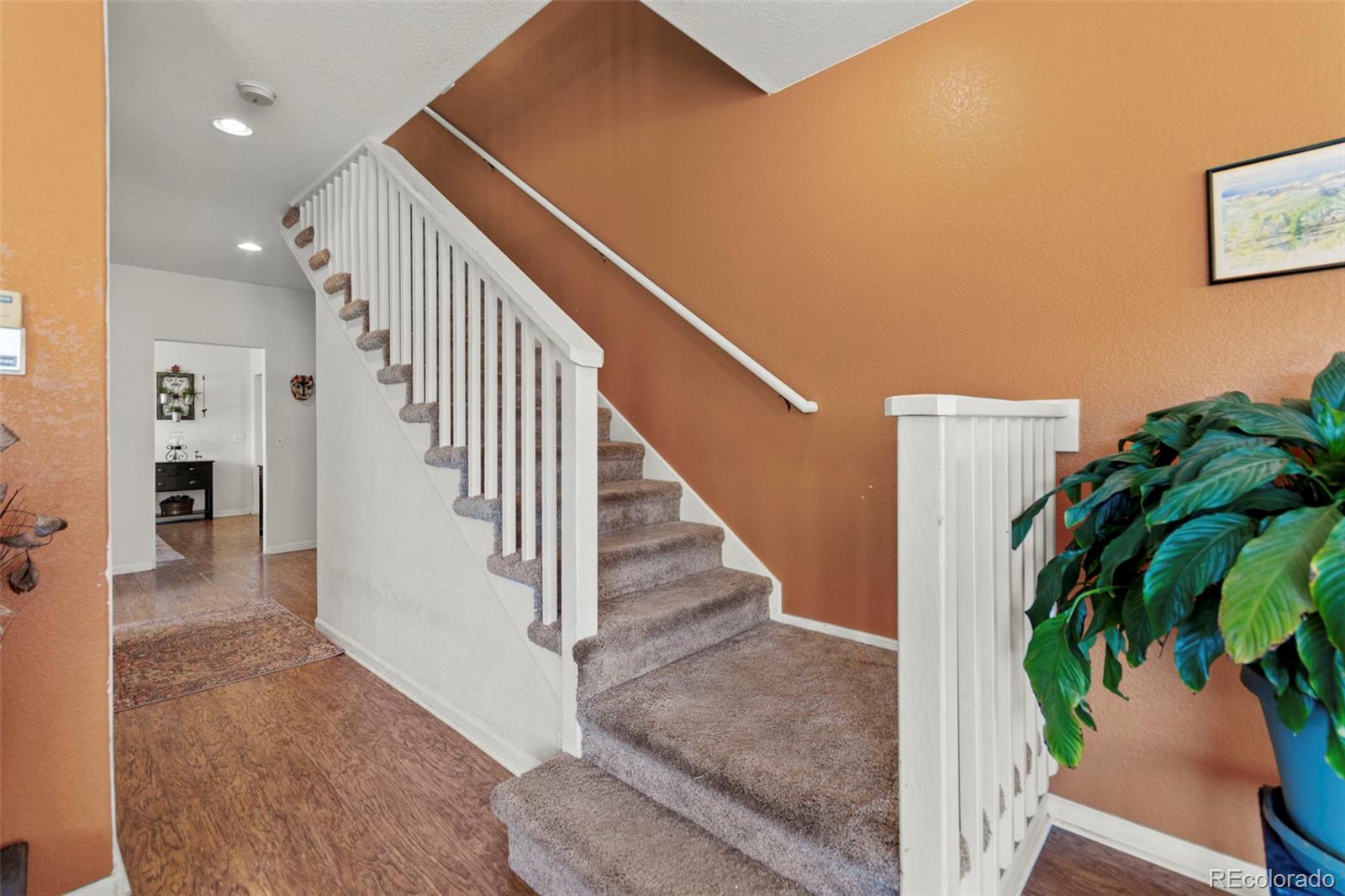 211 Appleby Street Bailey CO 80421