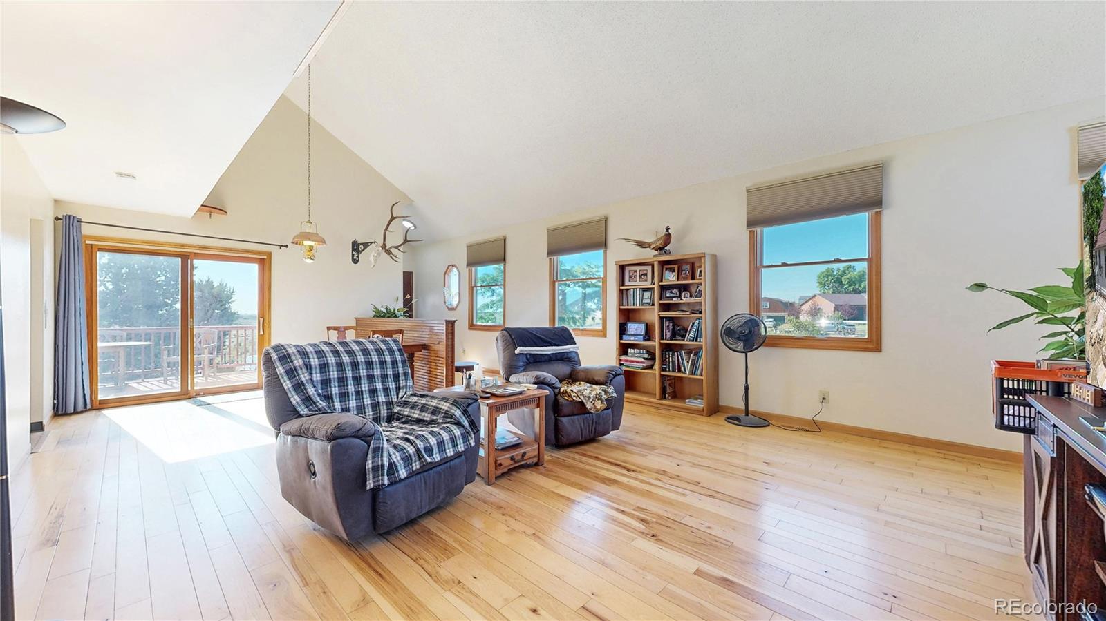 712 Colt Drive Loveland CO 80537
