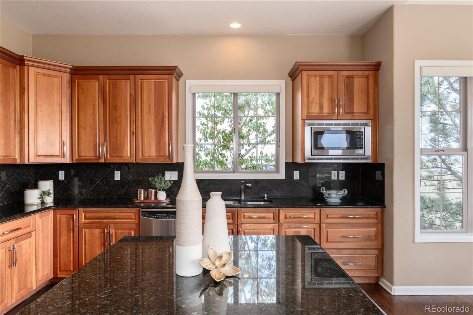 6250 Shavano Peak Way Castle Rock CO 80108