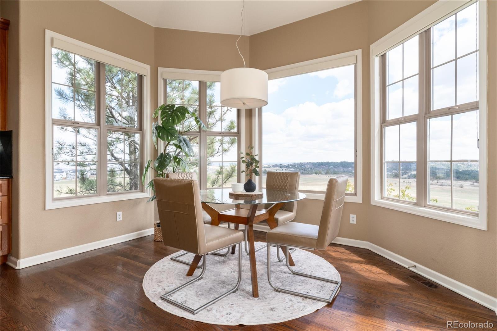 6250 Shavano Peak Way Castle Rock CO 80108